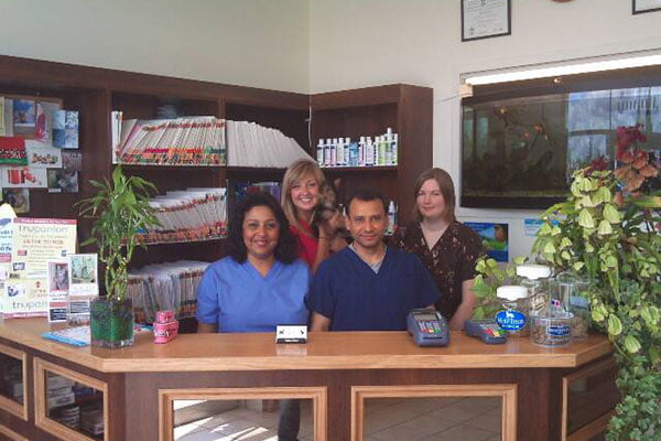 Animal Hospital Mississauga