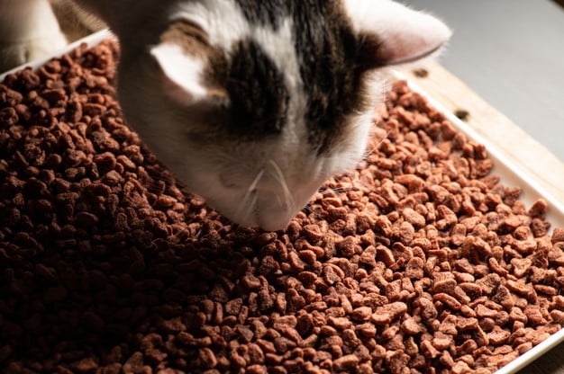How can you Ensure Essential Vitamins and Nutrients are in Your Pet’s Diet?