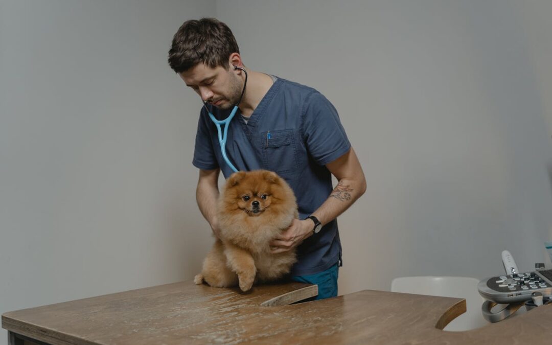 5 Ways to Keep Your Pet Disease Free