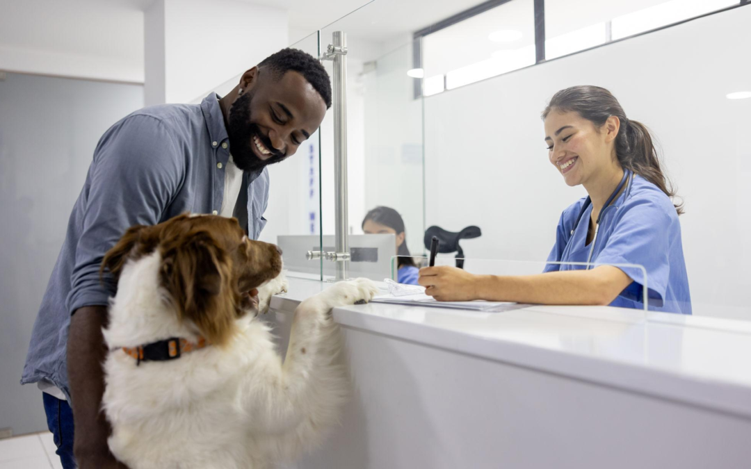 How to Keep Your Pet Safe This Summer in Mississauga